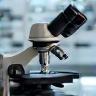 Microscope in a lab setting